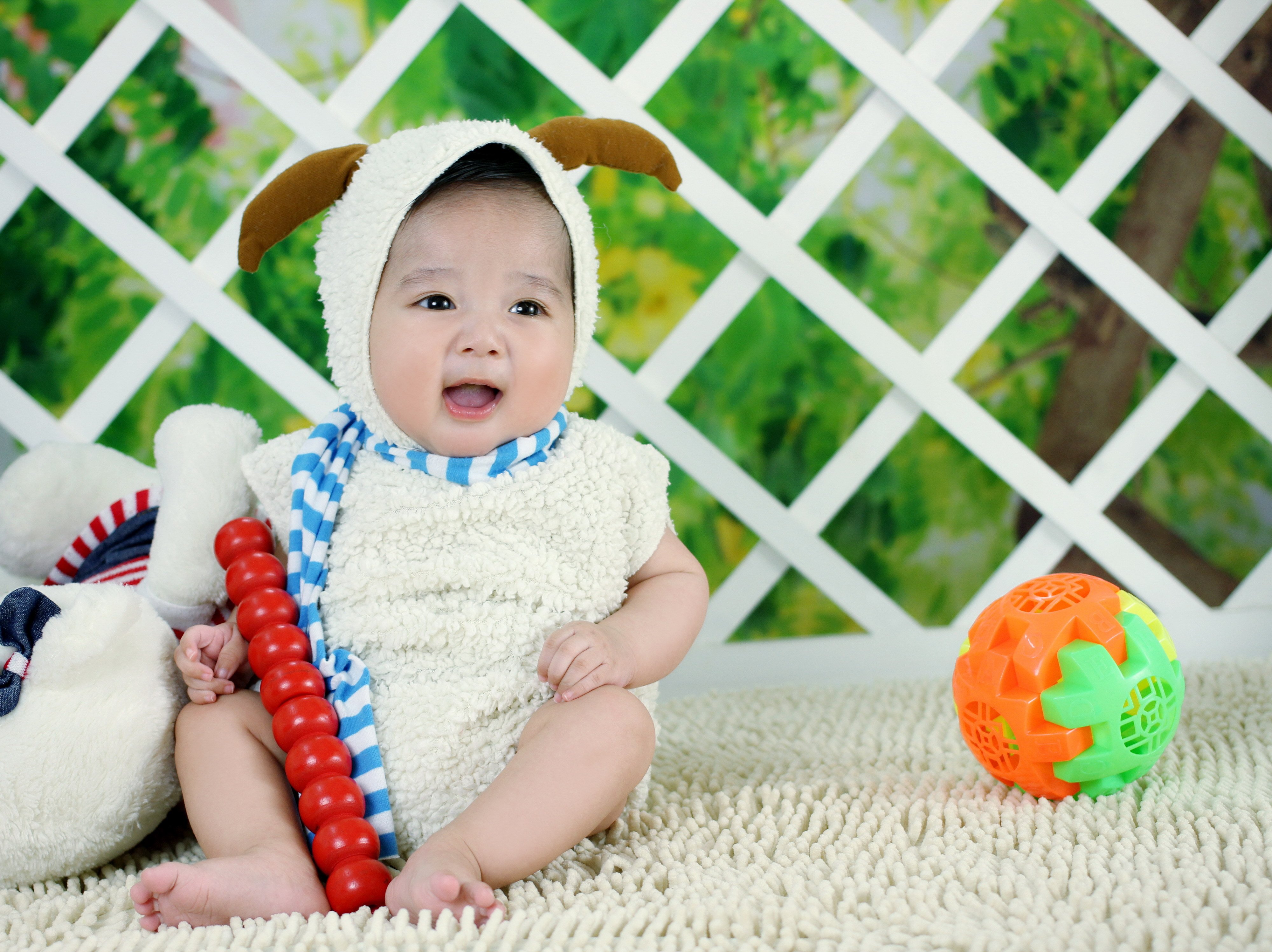 惠州捐卵代怀试管婴儿每个环节的成功率